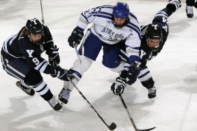 里奇·麦考：面对压力从不退缩的领袖，麦奇里湖