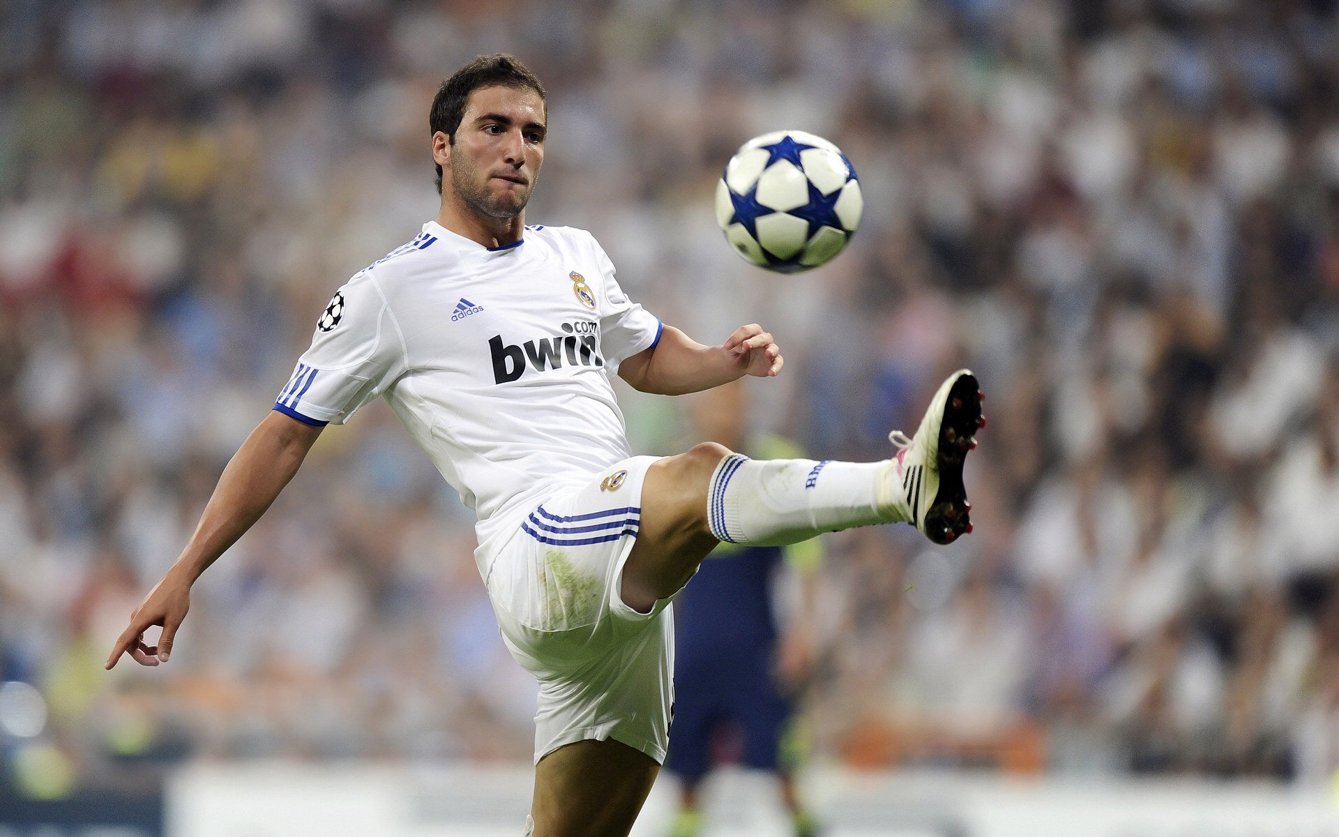 牙买加田径运动员在世界舞台上再创佳绩，牙买加田径国家队